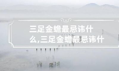 三足金蟾最忌讳什么,三足金蟾最忌讳什么