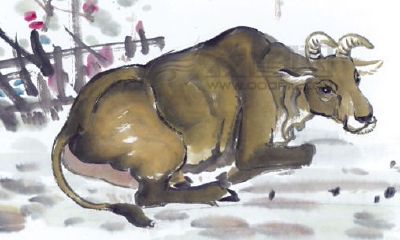 1985年属牛的人2015年运程