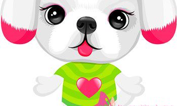 属狗的人2017年每月运程