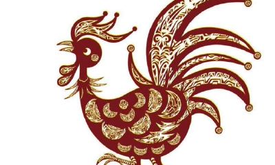 属鸡的今年多大了2020年，2020年属鸡多大年龄