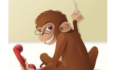 属猴的今年多大了2020年，2020年属猴多大年龄