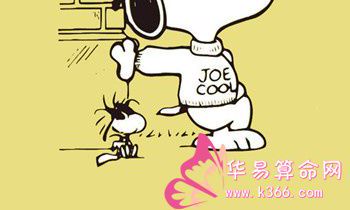 2006年属狗的人2017年运程