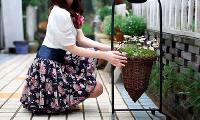 塔罗奥义2017年3月生肖运势完整版