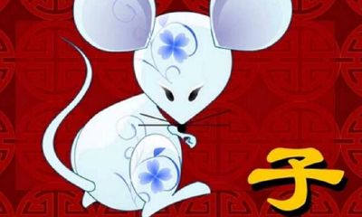 属鼠的今年多大了2020年，2020年属鼠多大年龄