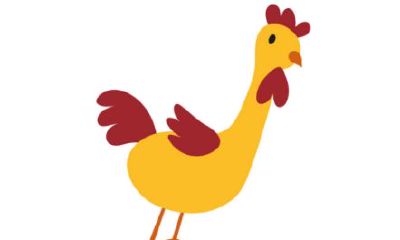 1981年属鸡的人2020年运势及运程