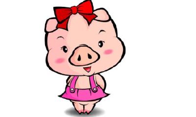 1971年属猪的人2020年运势及运程