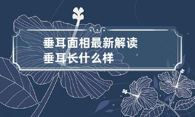 垂耳面相最新解读 垂耳长什么样