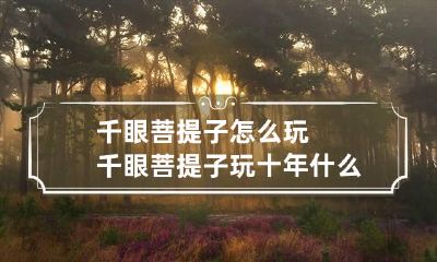 千眼菩提子怎么玩 千眼菩提子玩十年什么样