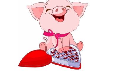 1959年属猪的人2020年运势及运程