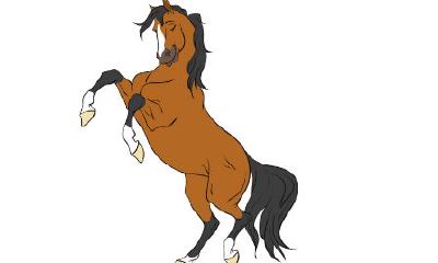 1954年属马的人2020年运势及运程?