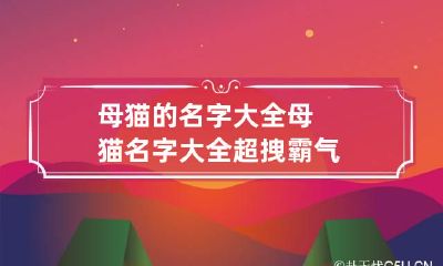母猫的名字大全 母猫名字大全超拽霸气