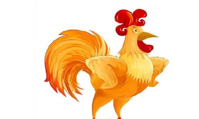 1993年属鸡的人2020年运势及运程