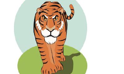 1950年属虎的人2020年运势及运程