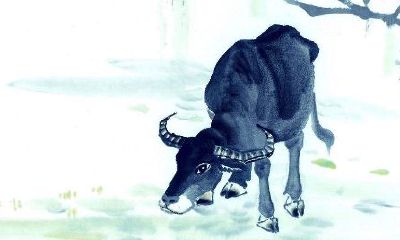 1973年属牛的人2020年运势及运程