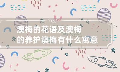 澳梅的花语及澳梅的养护 澳梅有什么寓意
