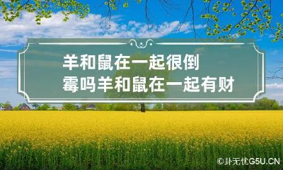 羊和鼠在一起很倒霉吗 羊和鼠在一起有财运吗