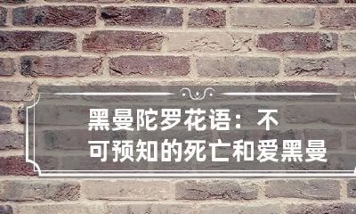 黑曼陀罗花语：不可预知的死亡和爱 黑曼陀罗长什么样