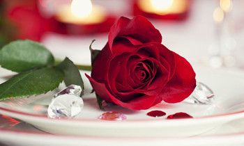 属狗人把什么放在第一位