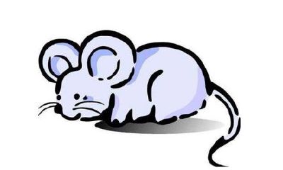 1960年属鼠的人2020年运势及运程