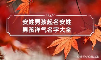 安姓男孩起名 安姓男孩洋气名字大全