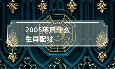 2005年属什么生肖配对