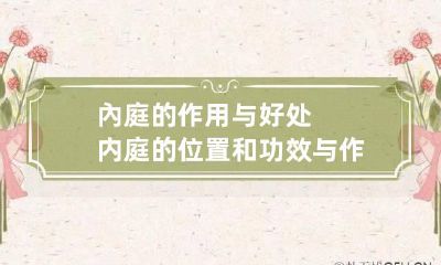內庭的作用与好处 内庭的位置和功效与作用