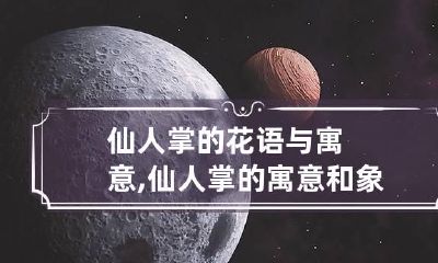 仙人掌的花语与寓意,仙人掌的寓意和象征是什么呢?
