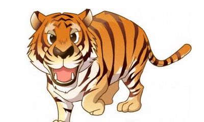 属虎的今年多大了2019 生肖虎2019年多少岁