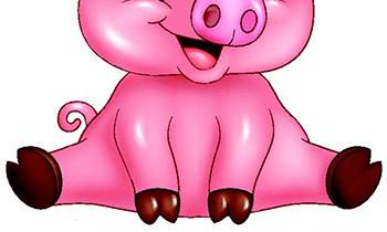 属猪的今年多大了2019 生肖猪本命年多少岁