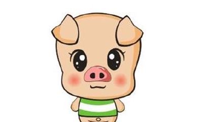 1995年出生的属猪的人2019年运程