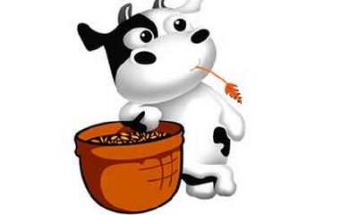 属牛的今年多大了2019 生肖牛2019年多少岁