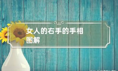 女人的右手的手相图解