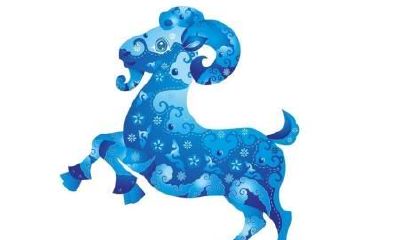 属羊的今年多大了2019 生肖羊2019年多少岁