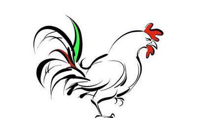 1981年出生的属鸡的人2019年运程