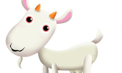 1979年出生的属羊的人2019年运程