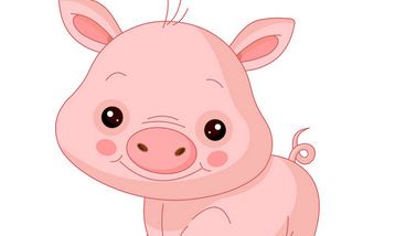 1971年出生的属猪的人2019年运程