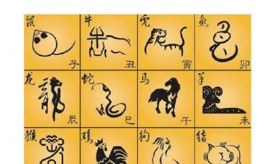 李居明2019年十二生肖运程完整版