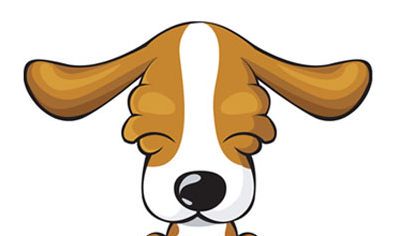 1970年出生的属狗的人2019年运程