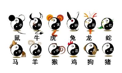 苏民峰2019年生肖运程完整版