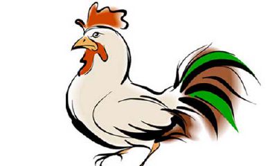 1969年出生的属鸡的人2019年运程