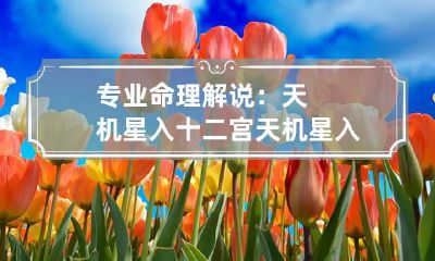 专业命理解说：天机星入十二宫 天机星入十二宫详解