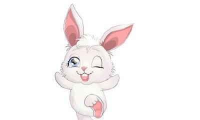 1975年出生的属兔的人2019年运程