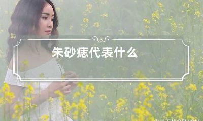 朱砂痣代表什么