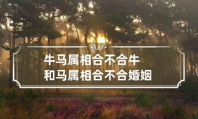 牛马属相合不合 牛和马属相合不合婚姻