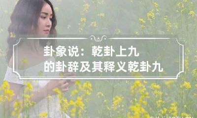 卦象说：乾卦上九的卦辞及其释义 乾卦九四爻辞