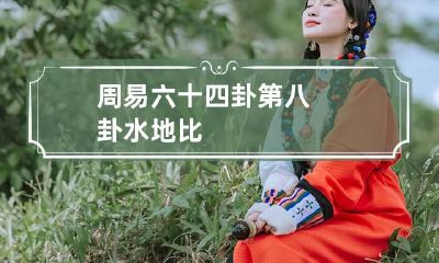 周易六十四卦第八卦 水地比