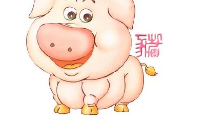 属猪2019年运势及运程大全