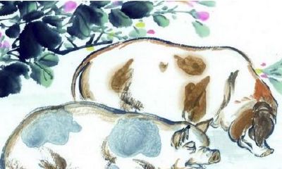 属猪人2018年5月运势详解