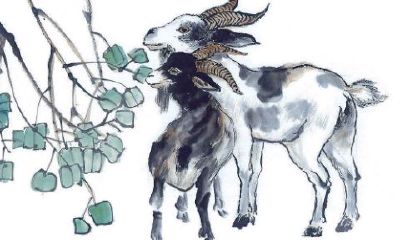 属羊人2018年5月运势详解