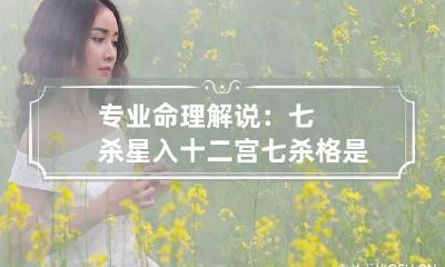 专业命理解说：七杀星入十二宫 七杀格是什么星入命